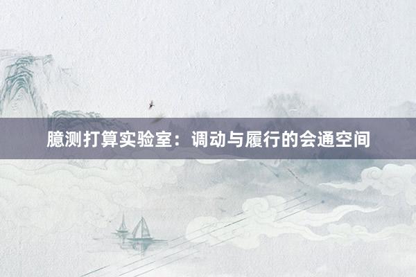 臆测打算实验室：调动与履行的会通空间