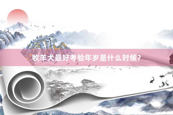 牧羊犬最好考验年岁是什么时候？