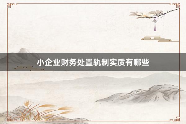 小企业财务处置轨制实质有哪些