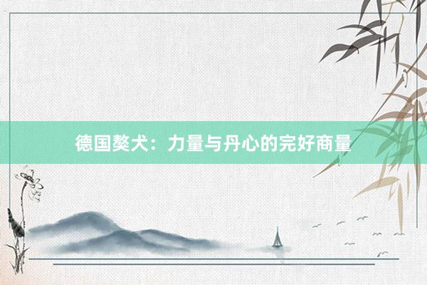 德国獒犬：力量与丹心的完好商量